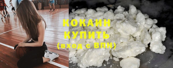 соль ск Арсеньев