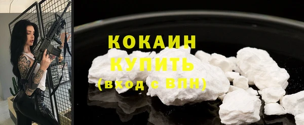 индика Рославль