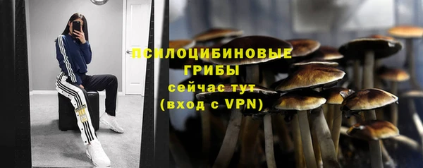 шишки Аркадак
