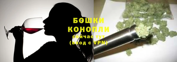 индика Рославль