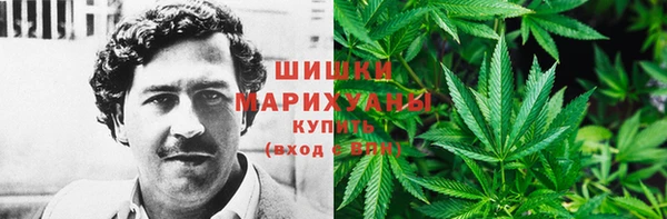 соль ск Арсеньев