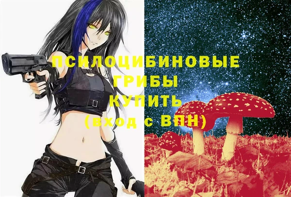 шишки Аркадак