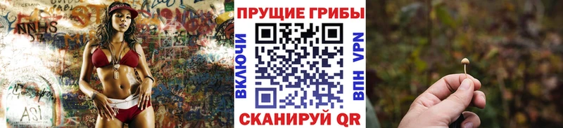 kraken зеркало купить цена Бабаево Псилоцибиновые грибы прущие грибы
